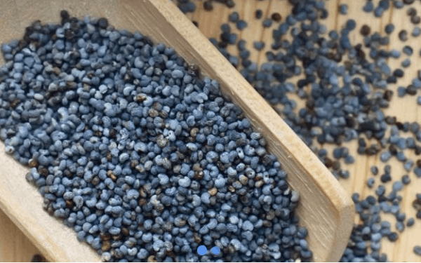Organic Blue Poppy Seeds Importer Supplier Distributor Wholesale